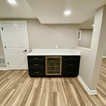 Modern Basement Remodel