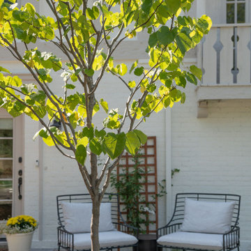 Outdoor Living