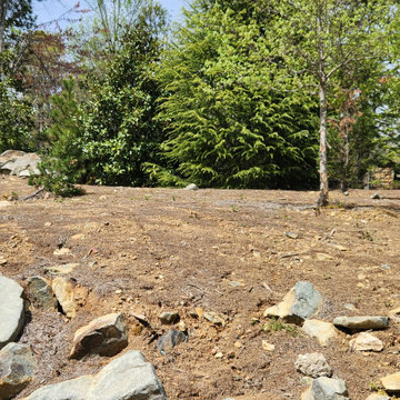 Backyard Transformation with Drainage, Irrigation & Future-Ready Design