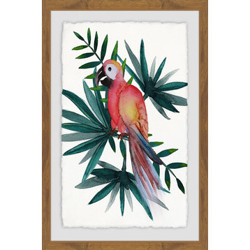 "Red Parrot" Framed Painting Print, 20"x30"