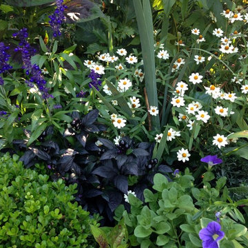 Great Plant Combos