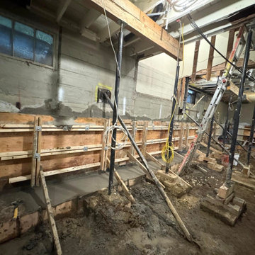 IN PROGRESS - EASTERLIN‘S RESIDENCE - BASEMENT REMODEL