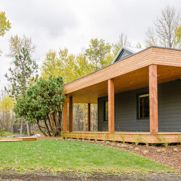 Schmidt Residence