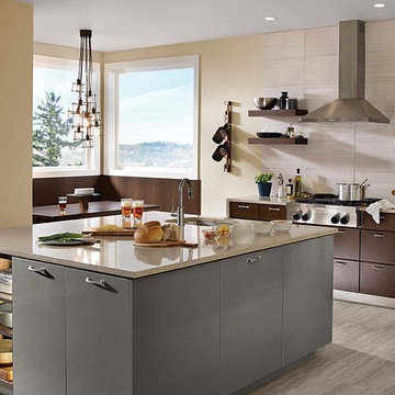 Contemporary and Dynamic