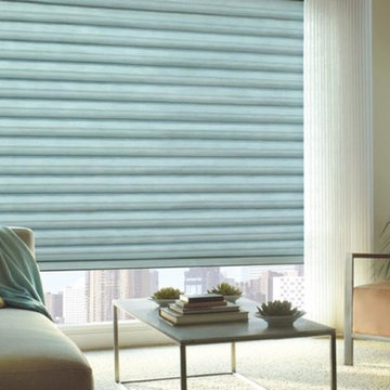 Living Room Shades