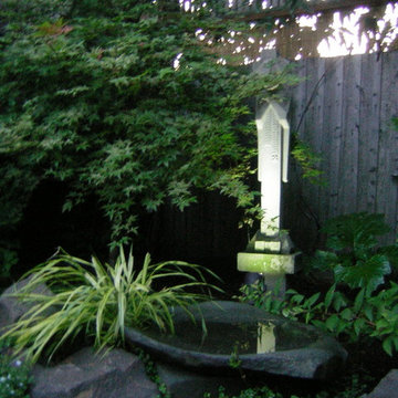 focal in shade