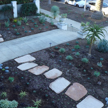 The Adams Shalhoub Garden