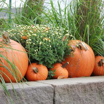 Fall Decorations