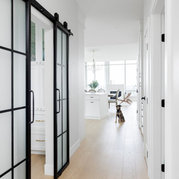 Modern French Country Hallway with Steel & Glass Barn Doors