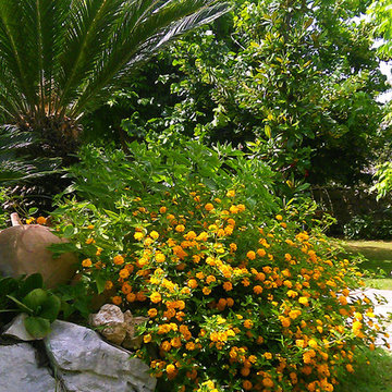 terrazzo: fiori, parete verde self made - in progress