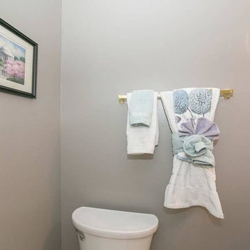 Telluride Transitional Style & Home Staging