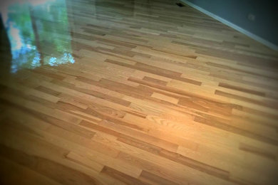 Large trendy open concept light wood floor family room photo in Chicago with blue walls