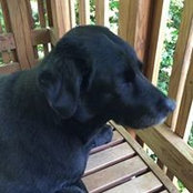 Debra McCants's photo