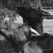Foto von Kevin-Mandy Murphy