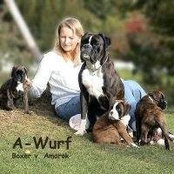Alexandra Wolf's photo
