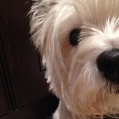 Tammy McBrien's photo