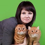 Наталья Белова's photo