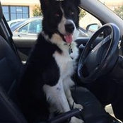 Frank Young's photo