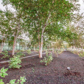 Condominium Courtyard Video Tour - Greater Toronto Area