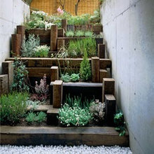 Backyard landscaping