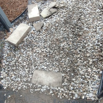 Regina's Dog-Friendly Yard