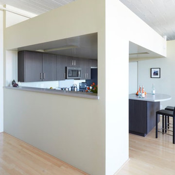 Contemporary Style Kitchen remodel