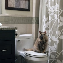 Guest bath