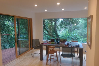 Example of a minimalist dining room design in San Francisco