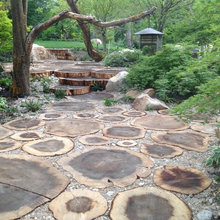 woods/treehouse