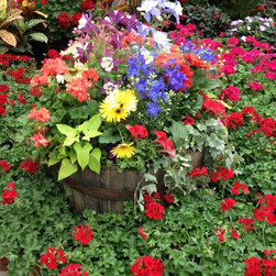 Nursery beds - Products