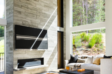 Living room - rustic living room idea in Denver