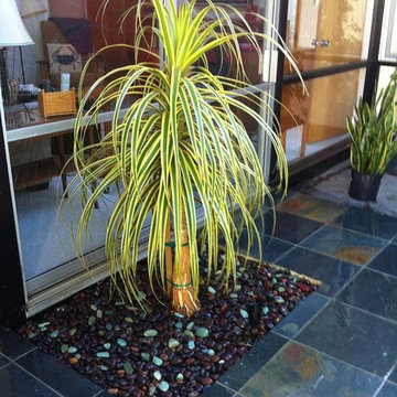 Eichler Interior Atrium