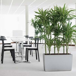 Modern Planter - Products