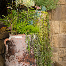 Pots