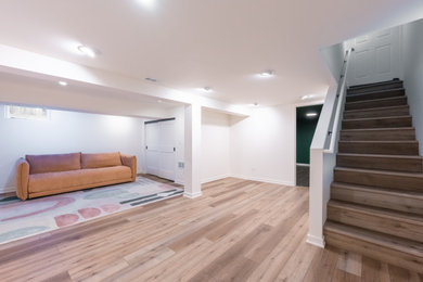 Example of a large trendy underground vinyl floor and brown floor basement design in Chicago with white walls