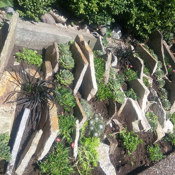 Rock Gardens