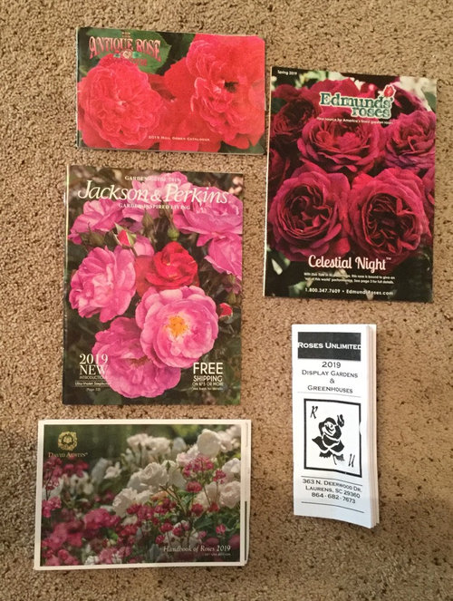 Love my rose catalogs!