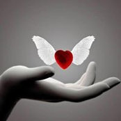 Brad Kaiser's photo