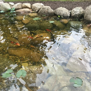 Koi Pond Kalamazoo, MI