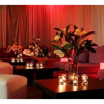 Suite 181 Nightclub