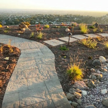 Xeriscape & Native Garden with Waterfall