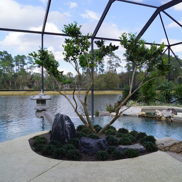 Outdoor Pool Landscapes