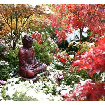 Feng Shui