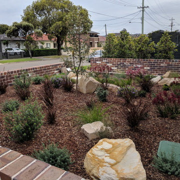 Australian Native Front Yard