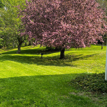 Professional Lawn Care & Mulch Installation