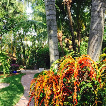 TROPICAL GARDEN IN FT. LAUDERDALE FLORIDA