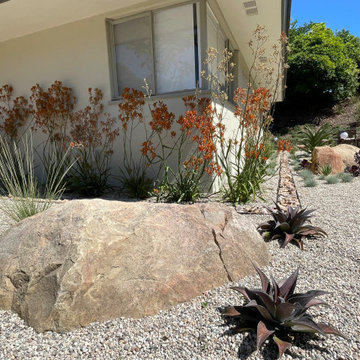 Sandstone boulder