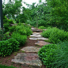 steps