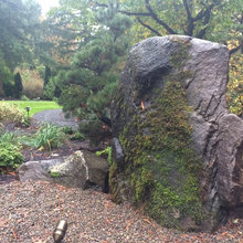 Landscape Ideas