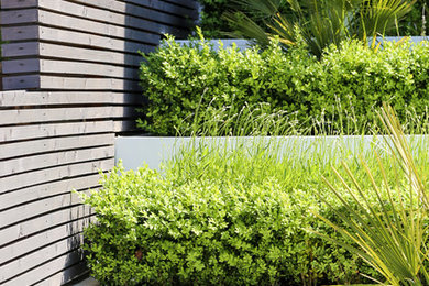 This is an example of a contemporary garden in London.